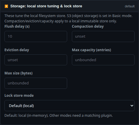 The Storage section: local store tuning and lock-store mode.